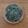 平利女娲茶